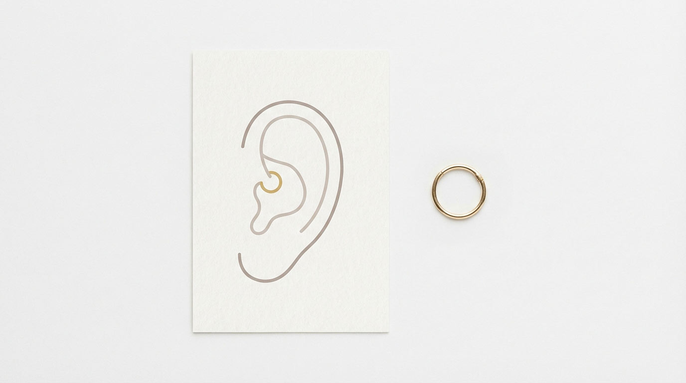 Ear anatomy diagram showing daith piercing placement at the crux of helix — inner ear cartilage fold location with helix, rook, conch and tragus positions