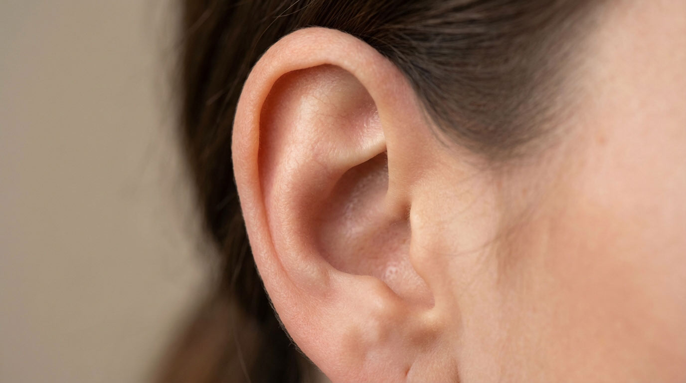 Woman's inner ear showing daith piercing through the crux of helix fold — daith piercing complete guide 2025 with gold clicker ring