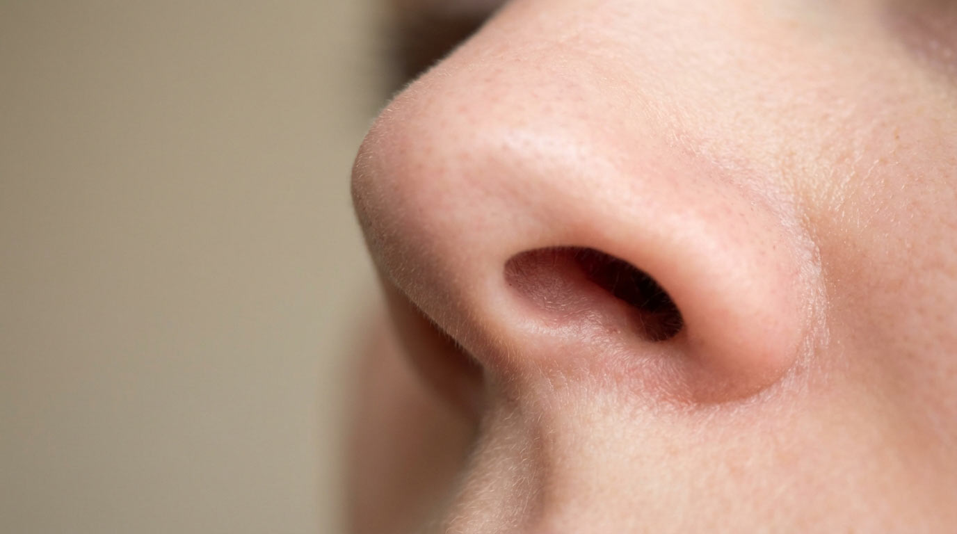 Woman's nose anatomy showing septum sweet spot location — the soft tissue between nasal cartilage and base of septum where septum piercing is placed